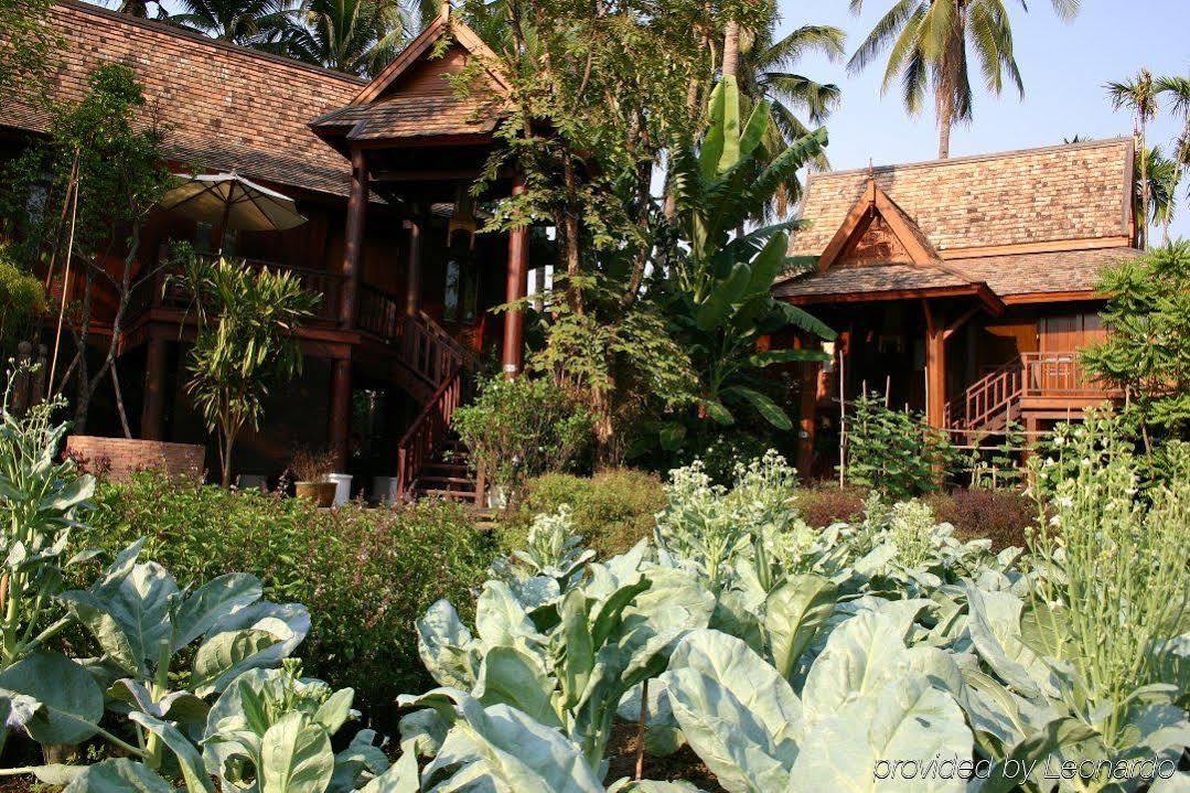 The Dhara Dhevi