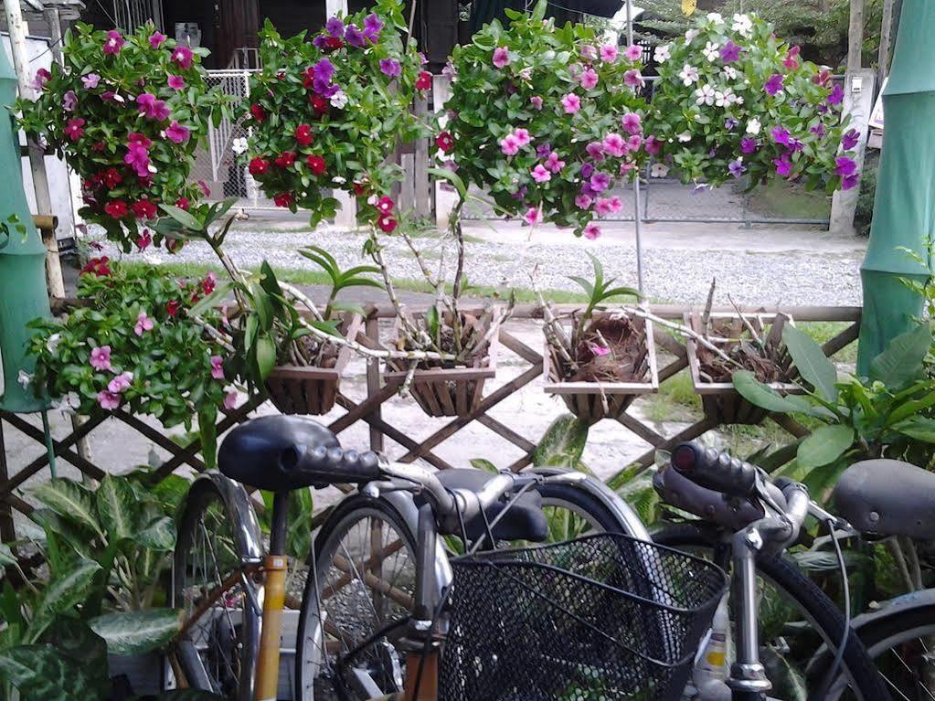 Like Chiang Mai