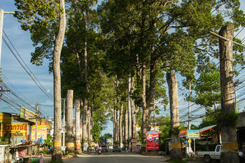 E Chiang Mai