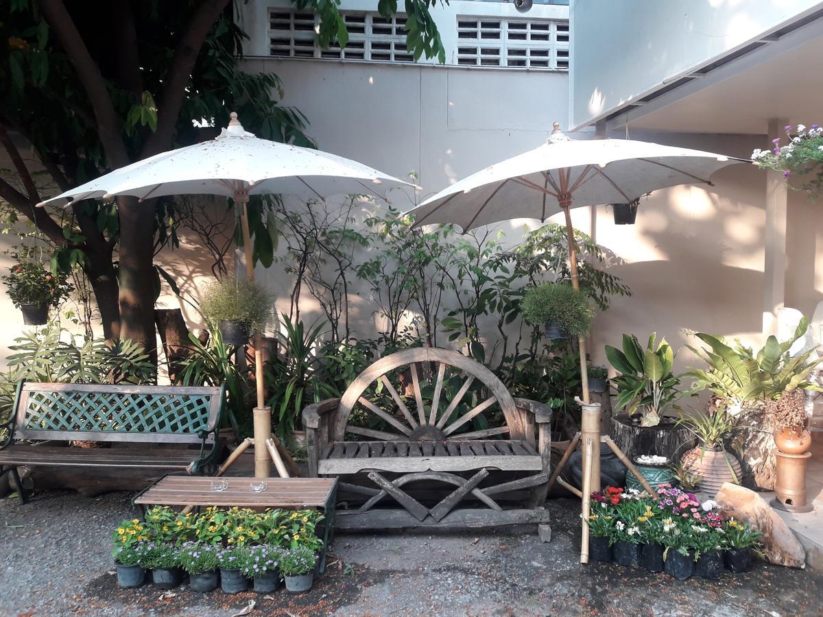 Coc & Chiang Mai