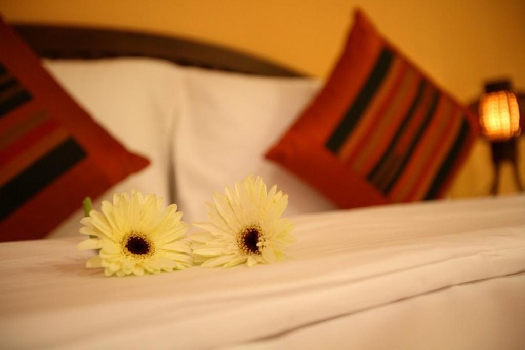 Hotel Boutique House