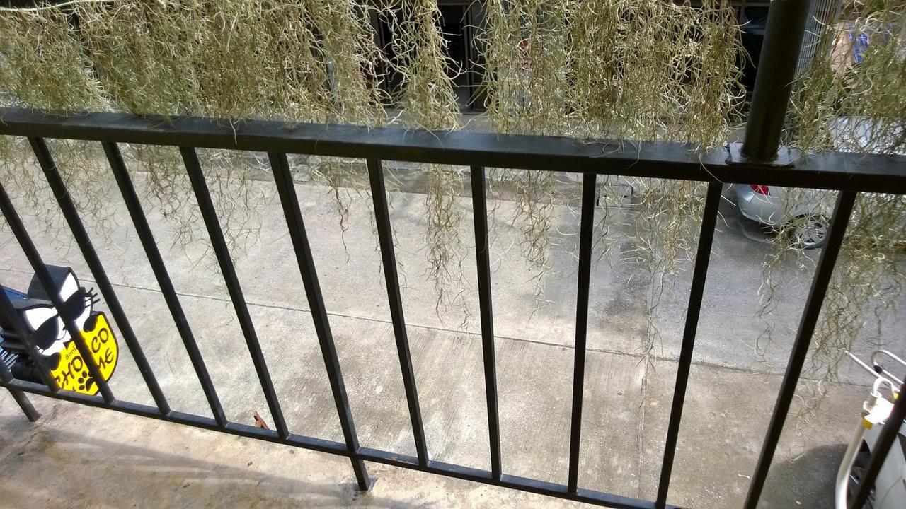 Albergue Chocco