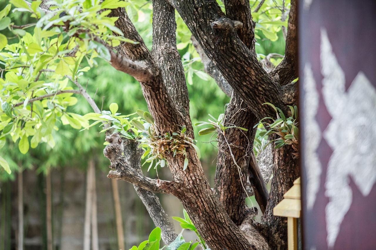Singha Montra Lanna Boutique Style 4* Chiang Mai