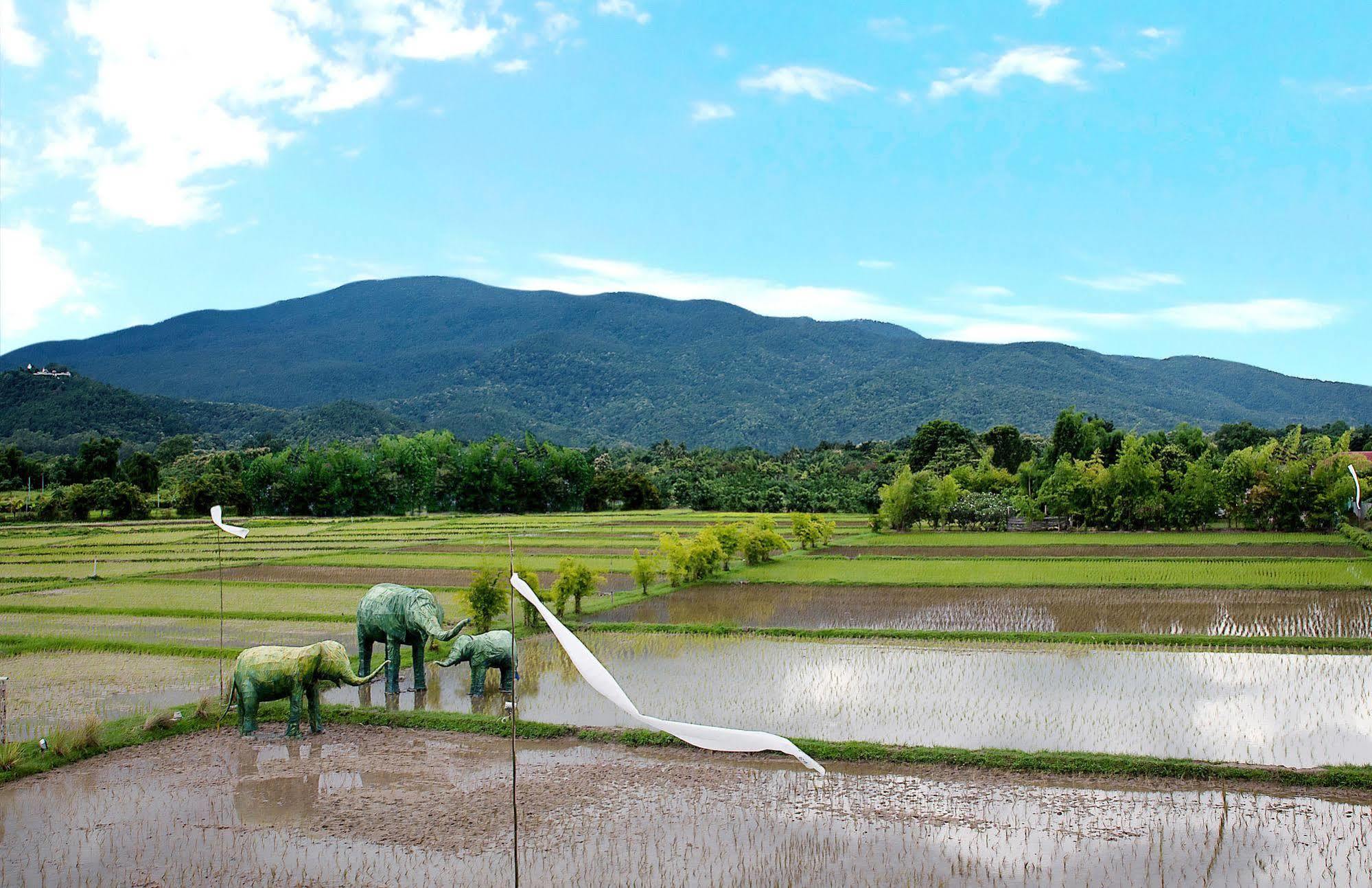 Resort Oasis Baan Saen Doi Chiang Mai