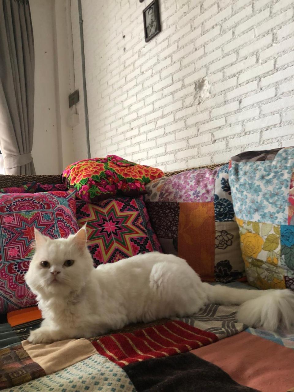 The Chiangmai Luxury Katil Chiang Mai