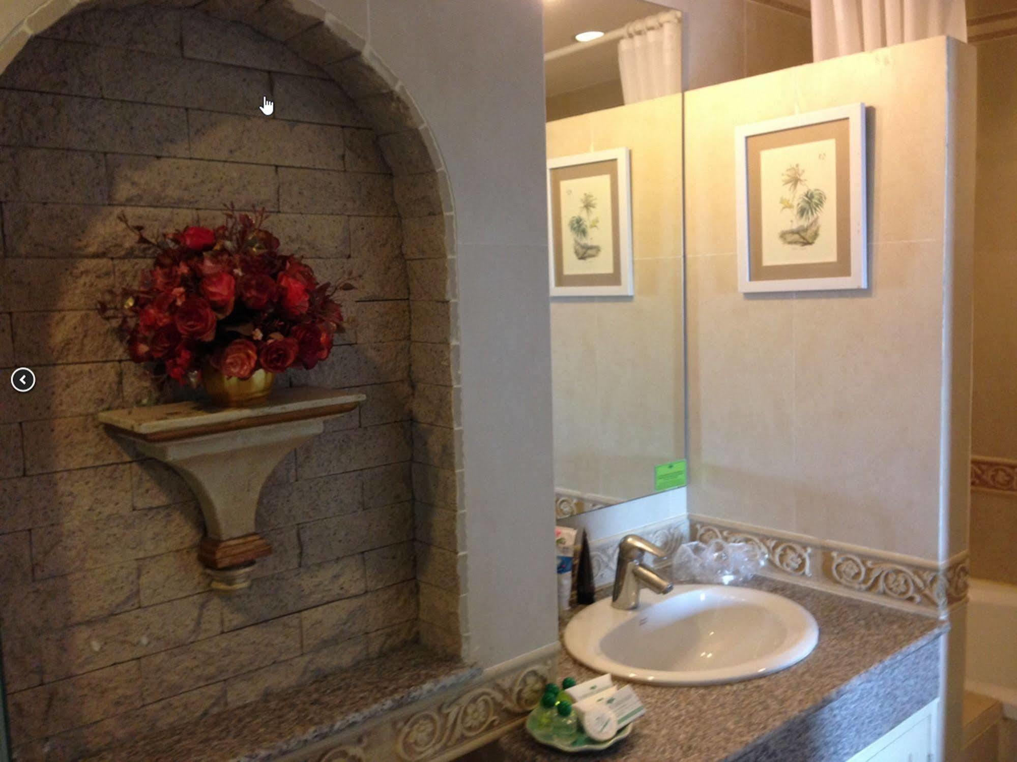 Hotel The Airport Greenery 4*
