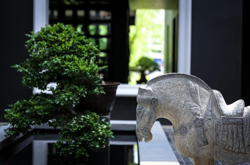 Hotel Ping Silhouette 4*