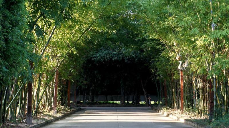 Bamboori Boutique 5* Chiang Mai