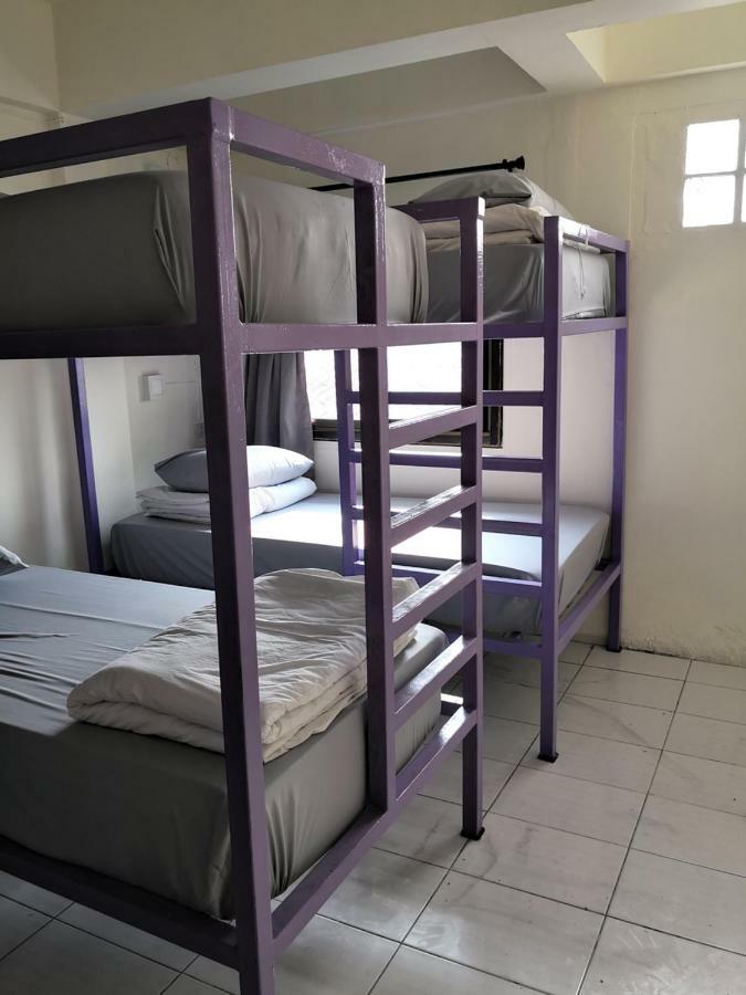 Purple Monkey Backpackers Chiang Mai