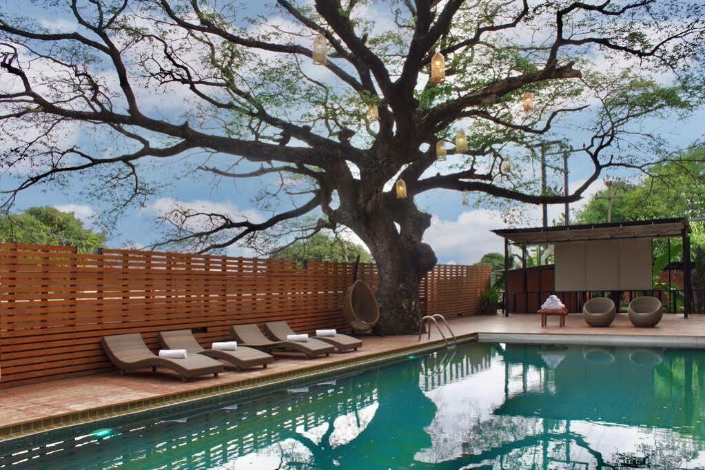 Hotel Bamboori Boutique Chiang Mai