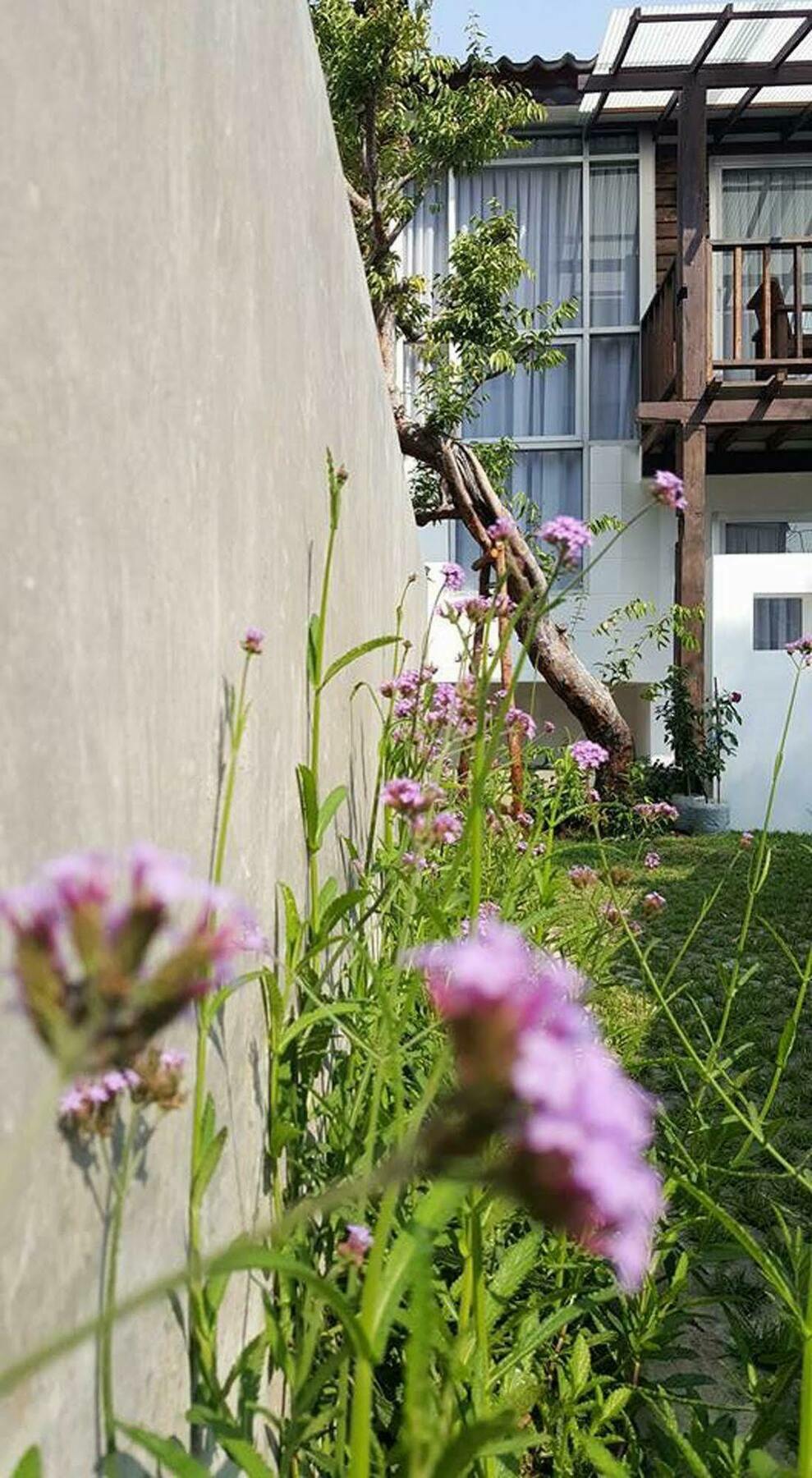 The Chiangmai Luxury Katil 3*