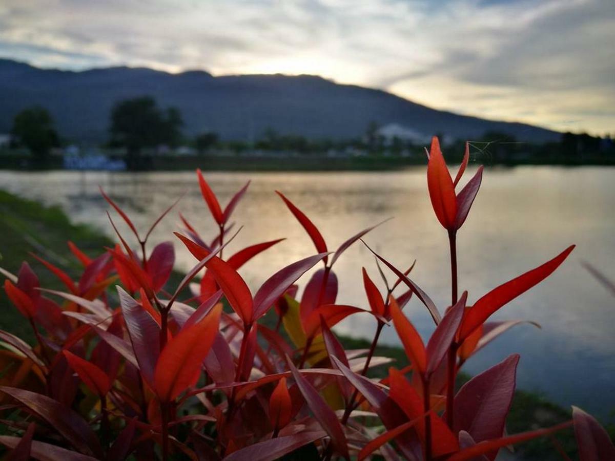 - Sha Extra Certified Resort Chiang Mai