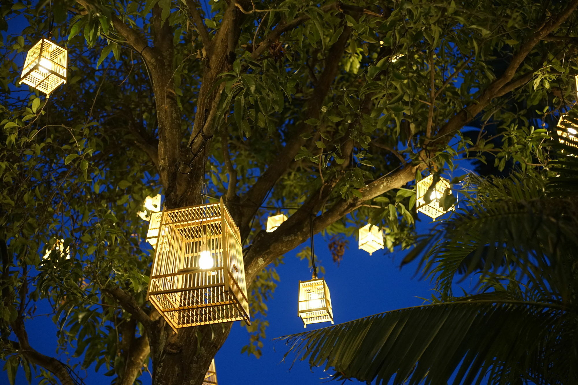 88 Nimman-chiang Mai