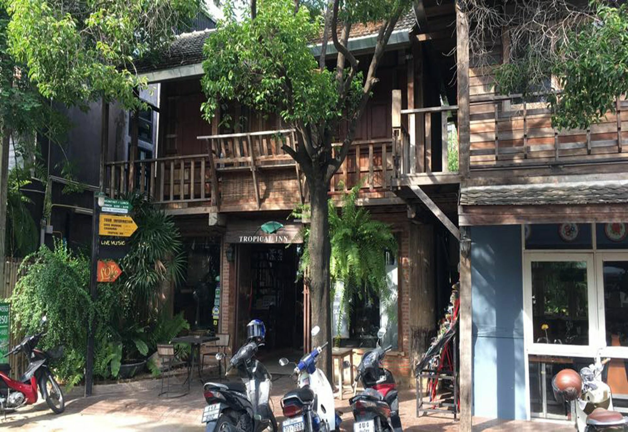 Good Morning Chiangmai