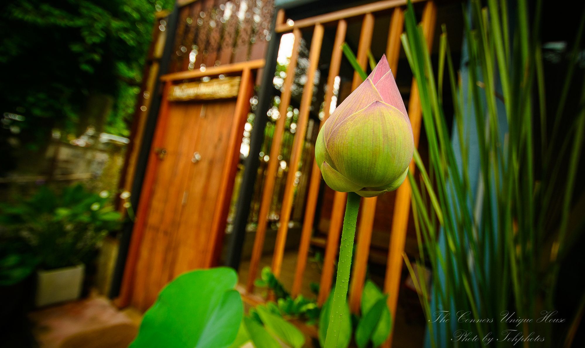 The Corner's Unique House Chiang Mai