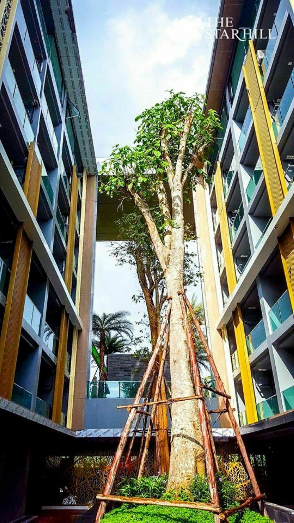 Apartment The Heaven At Star Hill *