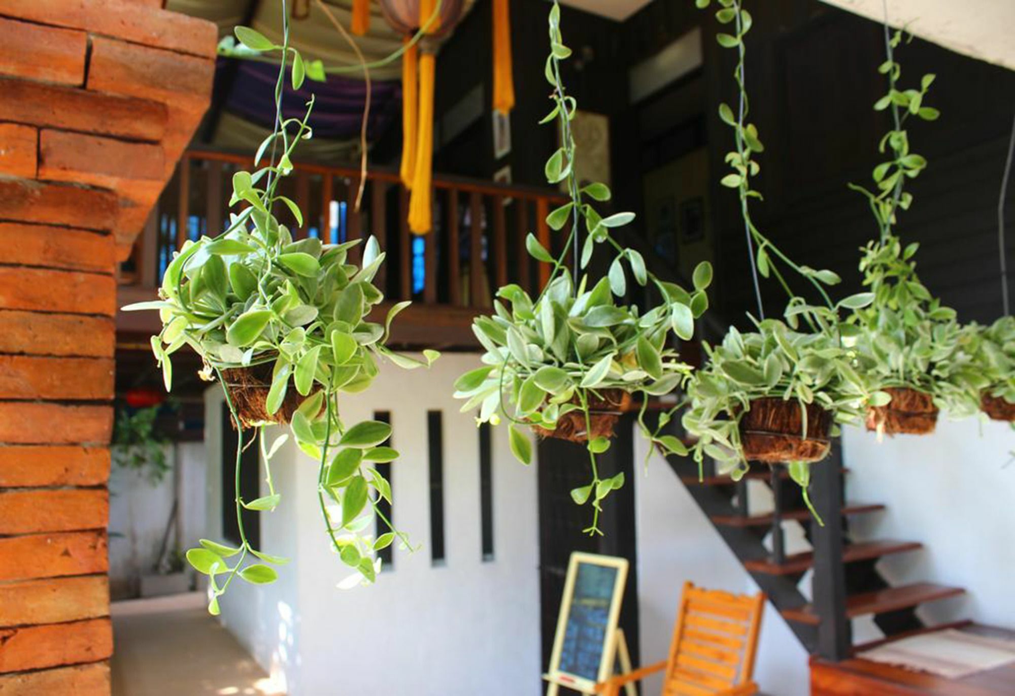 Guest house Dengba Garden