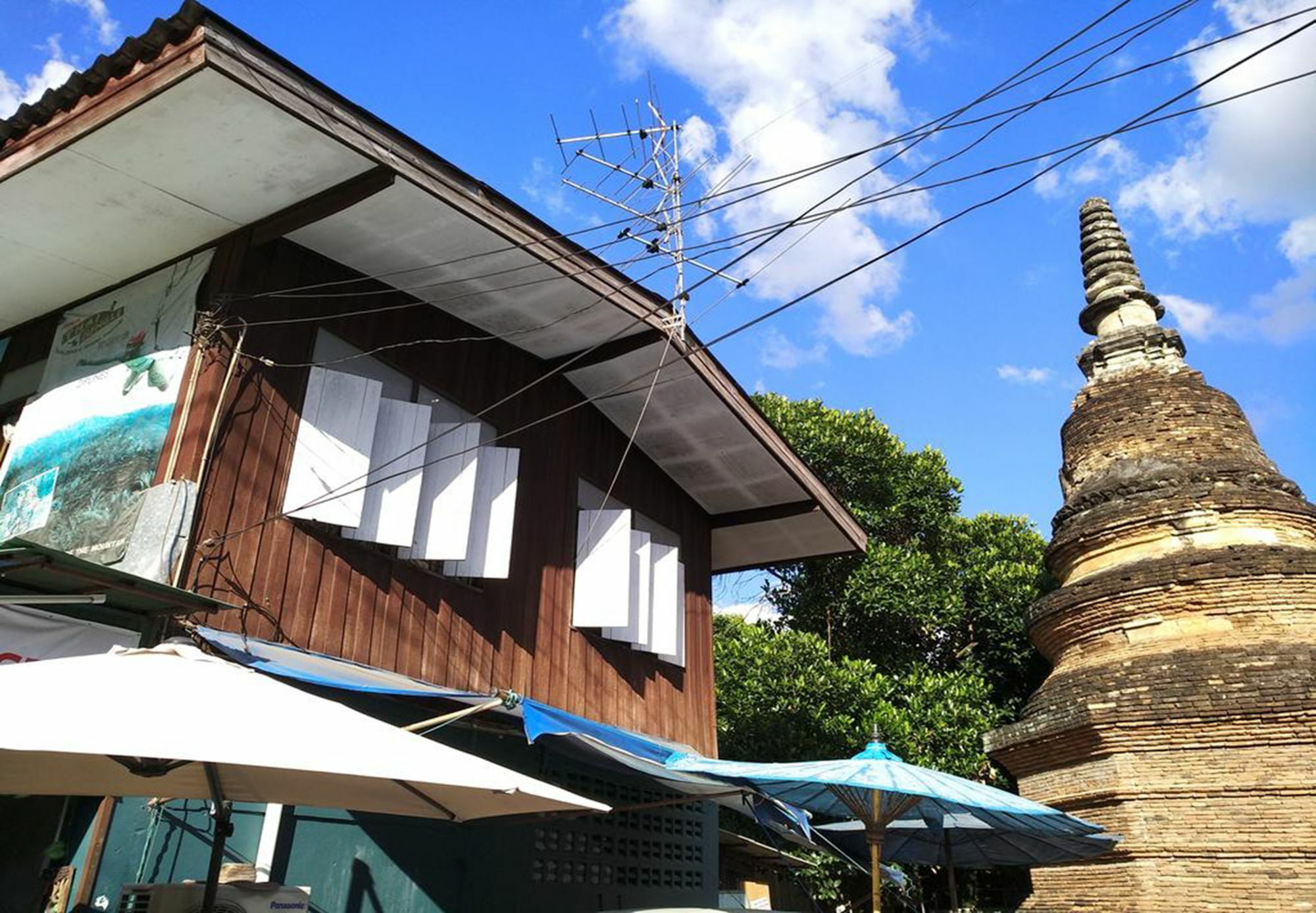 Tiger House (adults Only) 2*