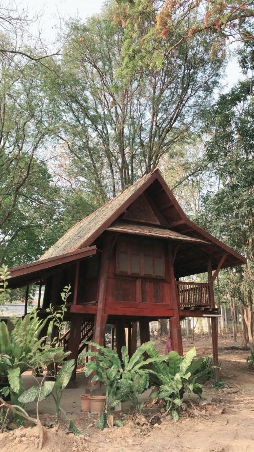 Insight Chiang Mai