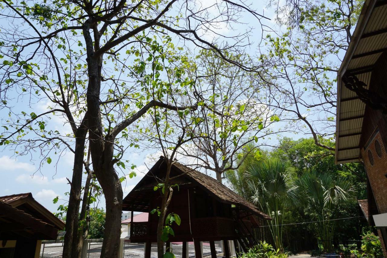 Insight Hostel Chiang Mai