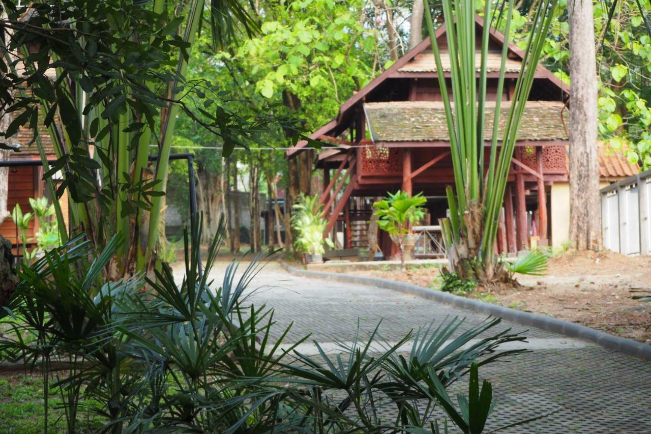 Insight Chiang Mai