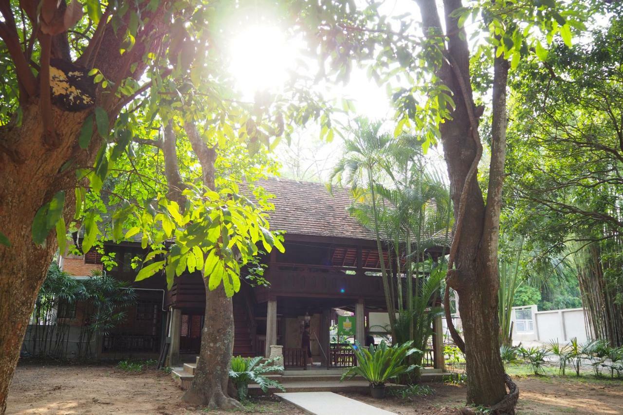 Hostel Insight