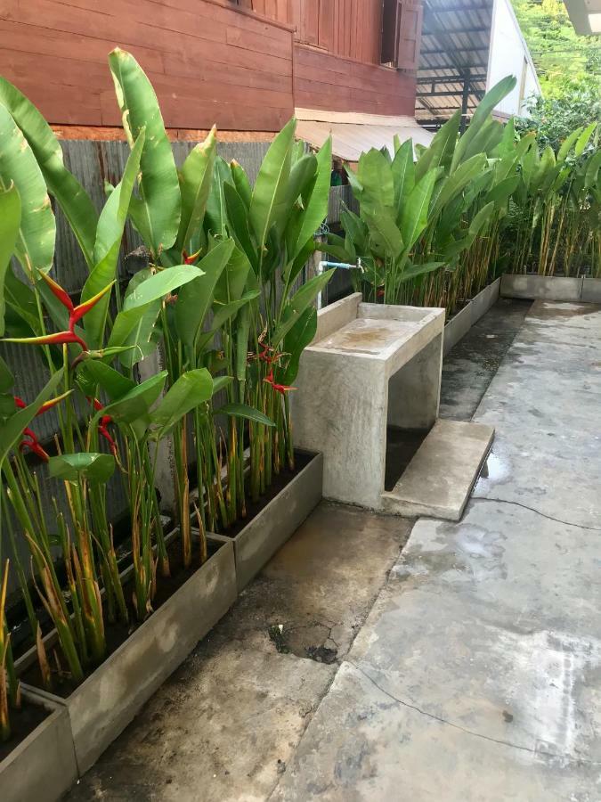 Bed & Breakfast Cozy By Funwahn Chiang Mai