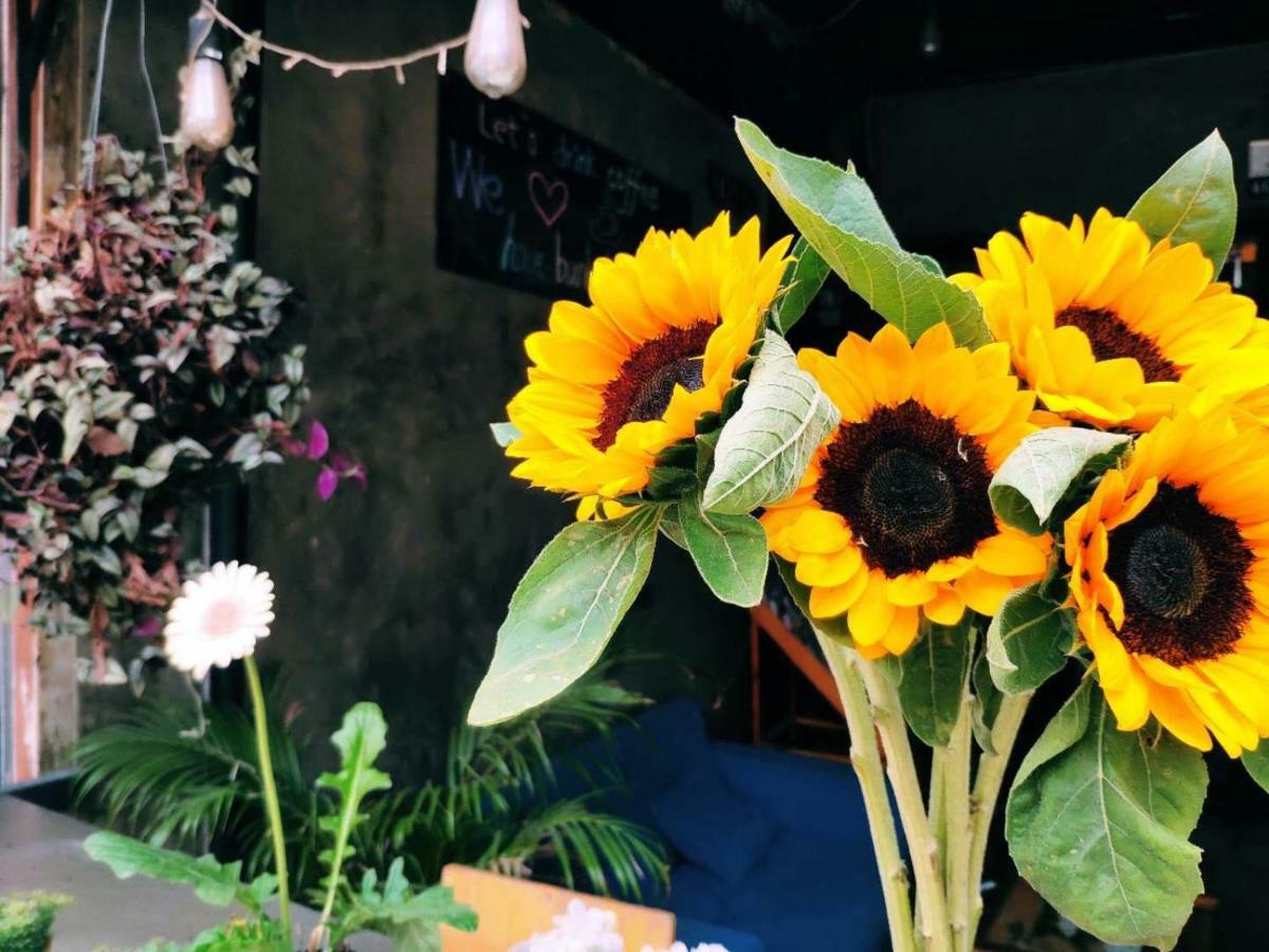Hostel Znap's & Cafe Chiang Mai