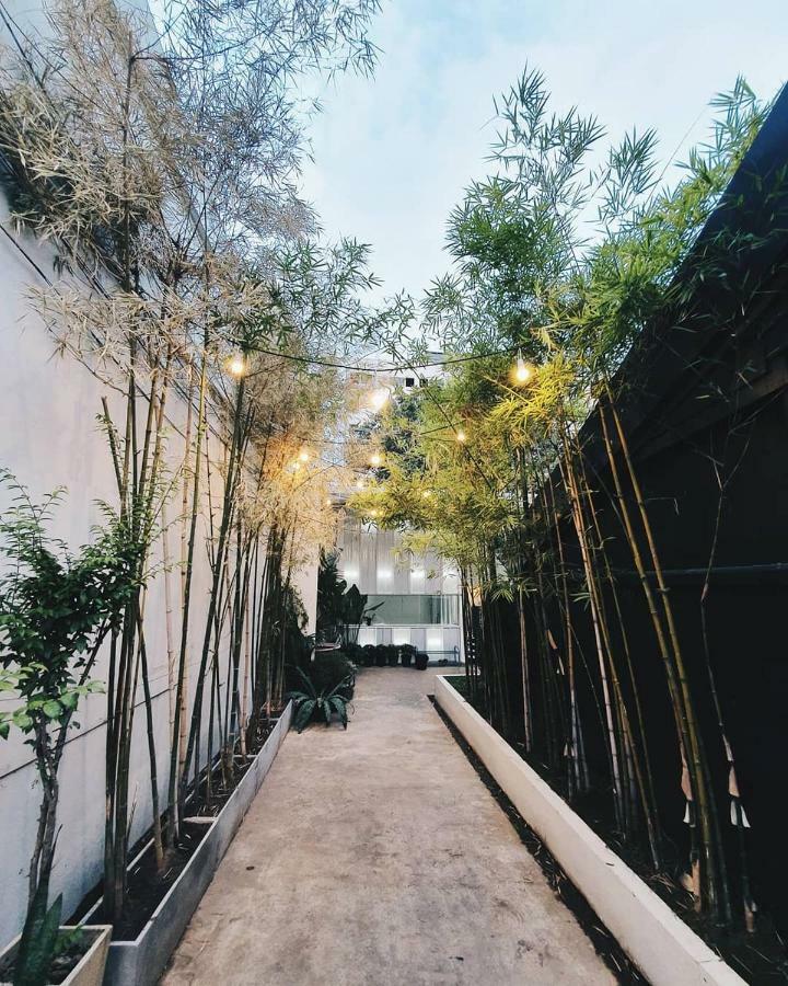 Hostel The Park Society *