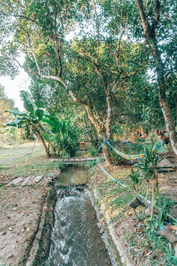 Farm stay Wipa Farmstay