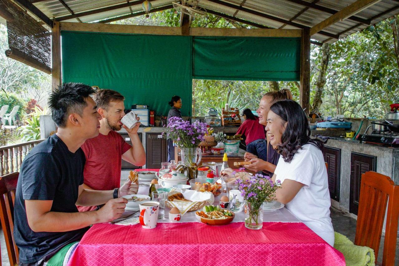 Farm stay Wipa Farmstay