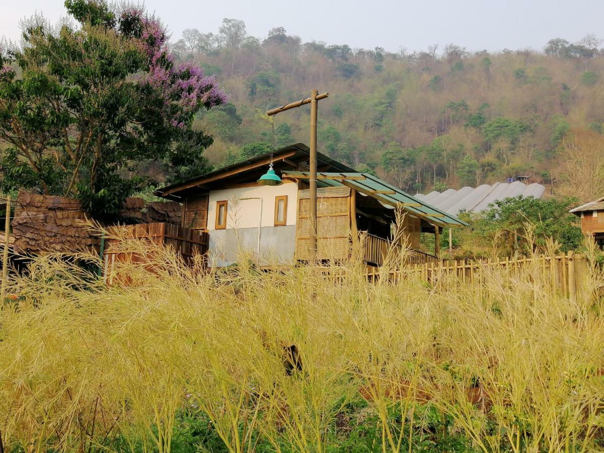 Mori Natural Farm Chiang Mai