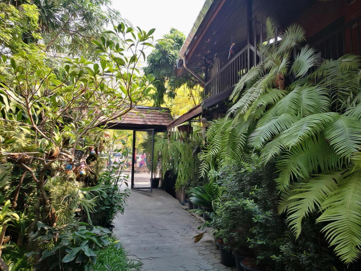 Hoh Chiang Mai
