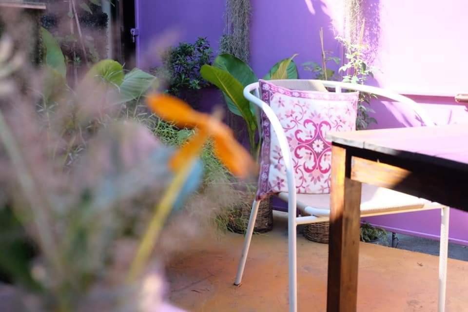 Bed & Breakfast Paapu House