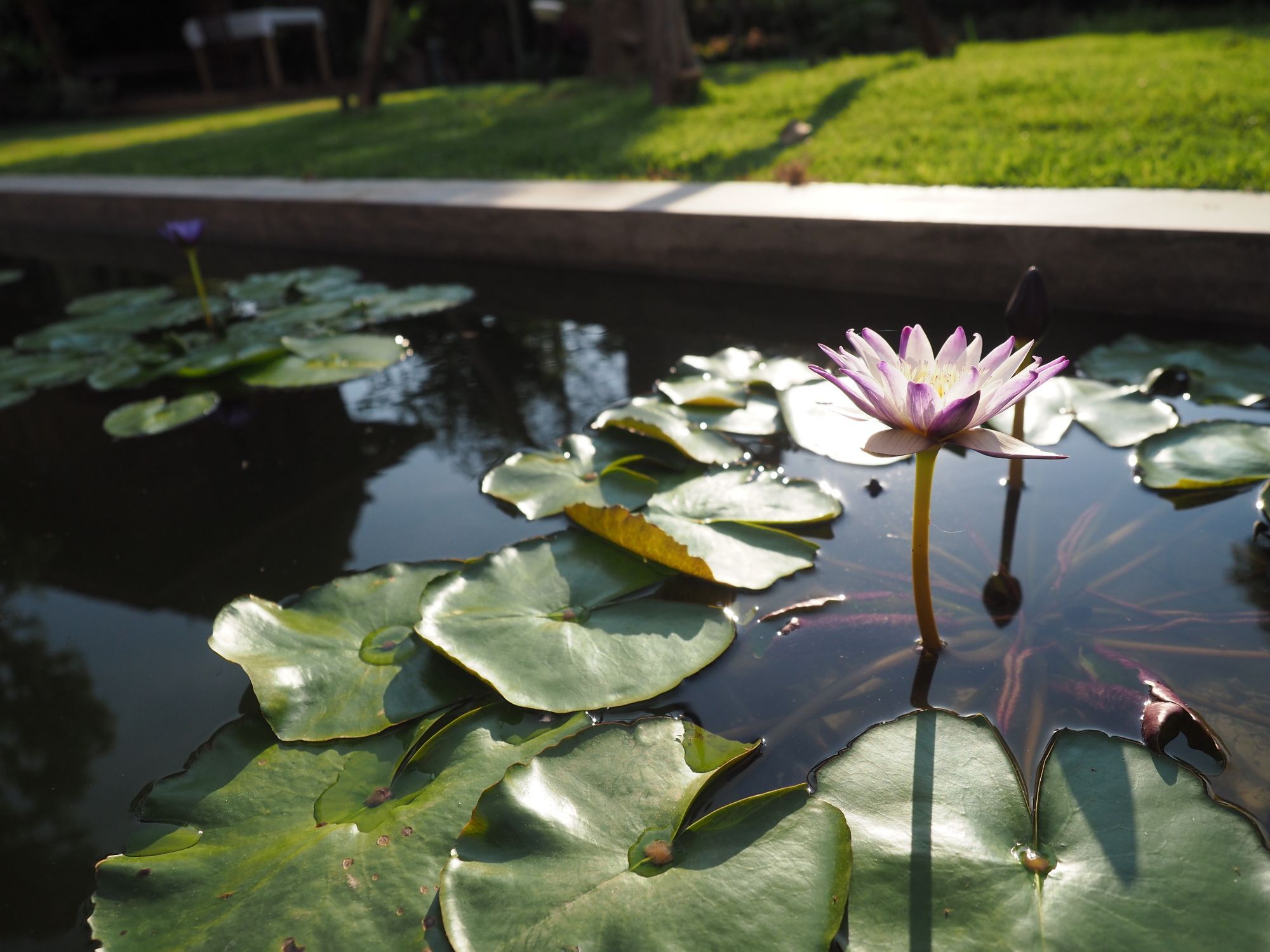 Resort Amata Lanna Village อมตะล้านนาวิลเลจ