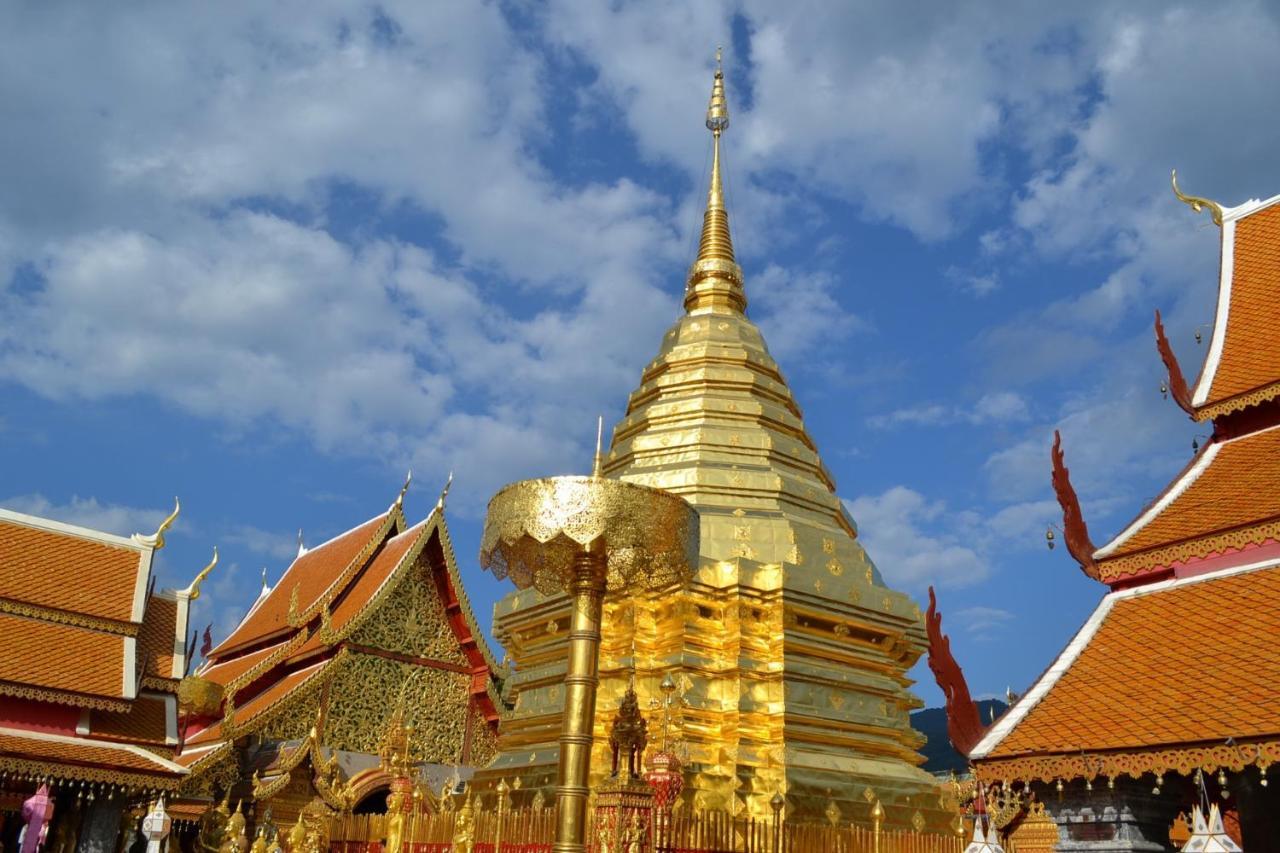 Darley Chiangmai Chiang Mai