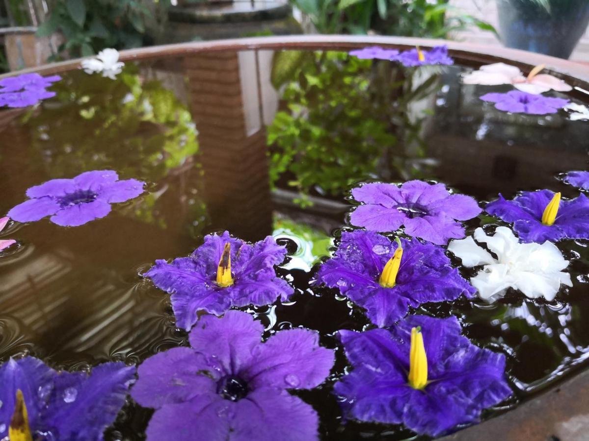 Suan Doi House & Hotel 3*