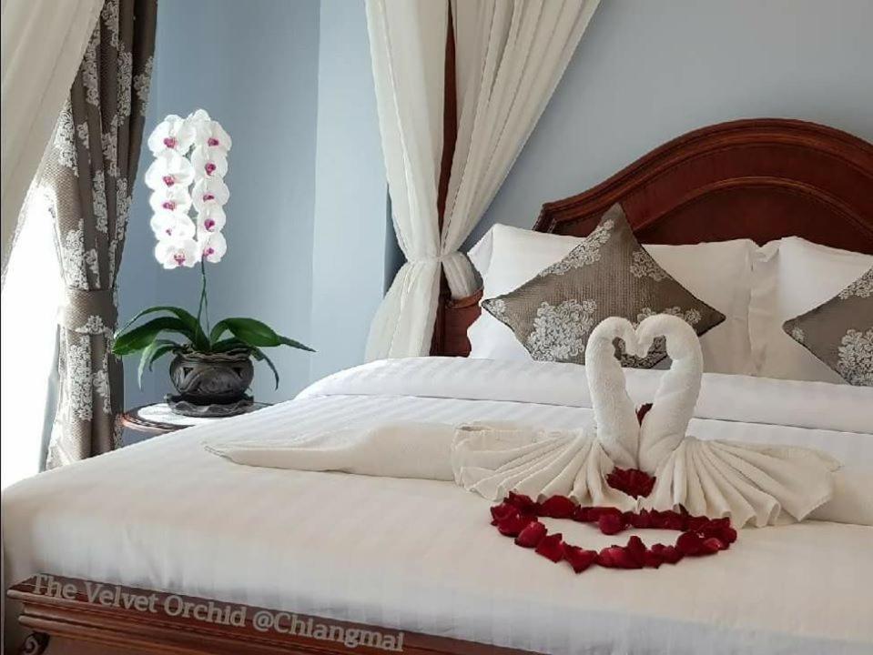 Hotel The Velvet Orchid