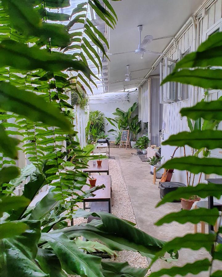 The Park Society * Chiang Mai