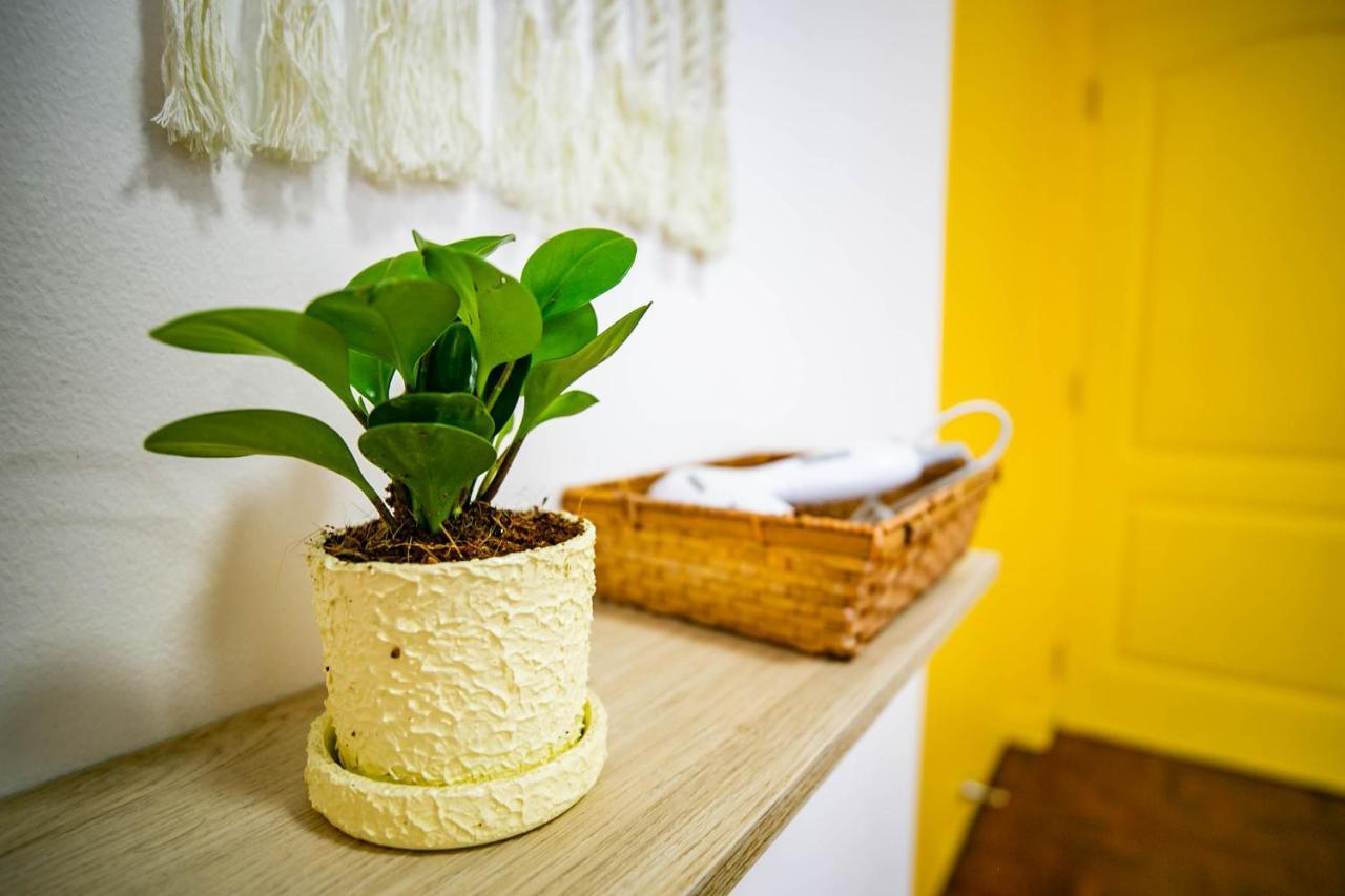 Float's House Homestay