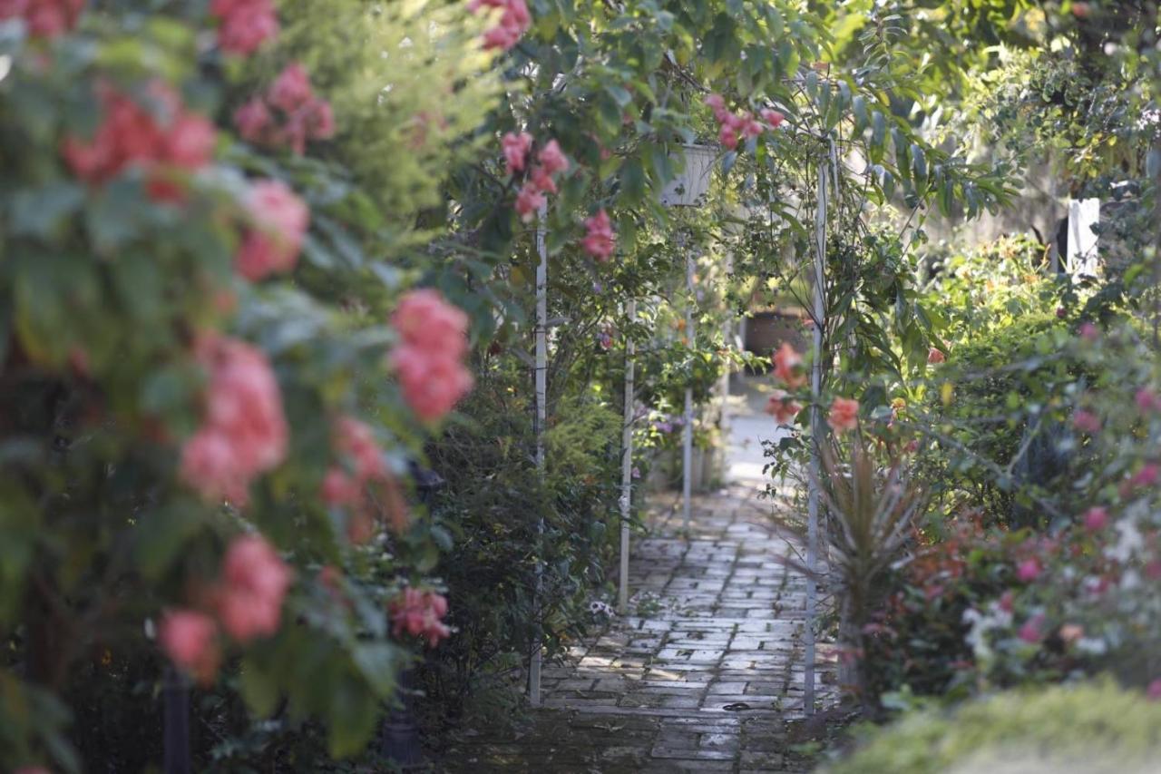 Le Jardin De Maejo Chiang Mai