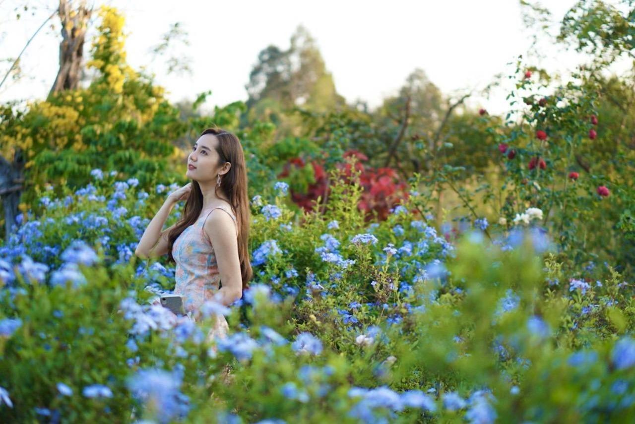 Le Jardin De Maejo Bed & Breakfast 3*