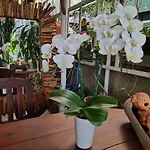 Aunt & Uncle\'S House