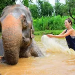 Elephant Retirement Park