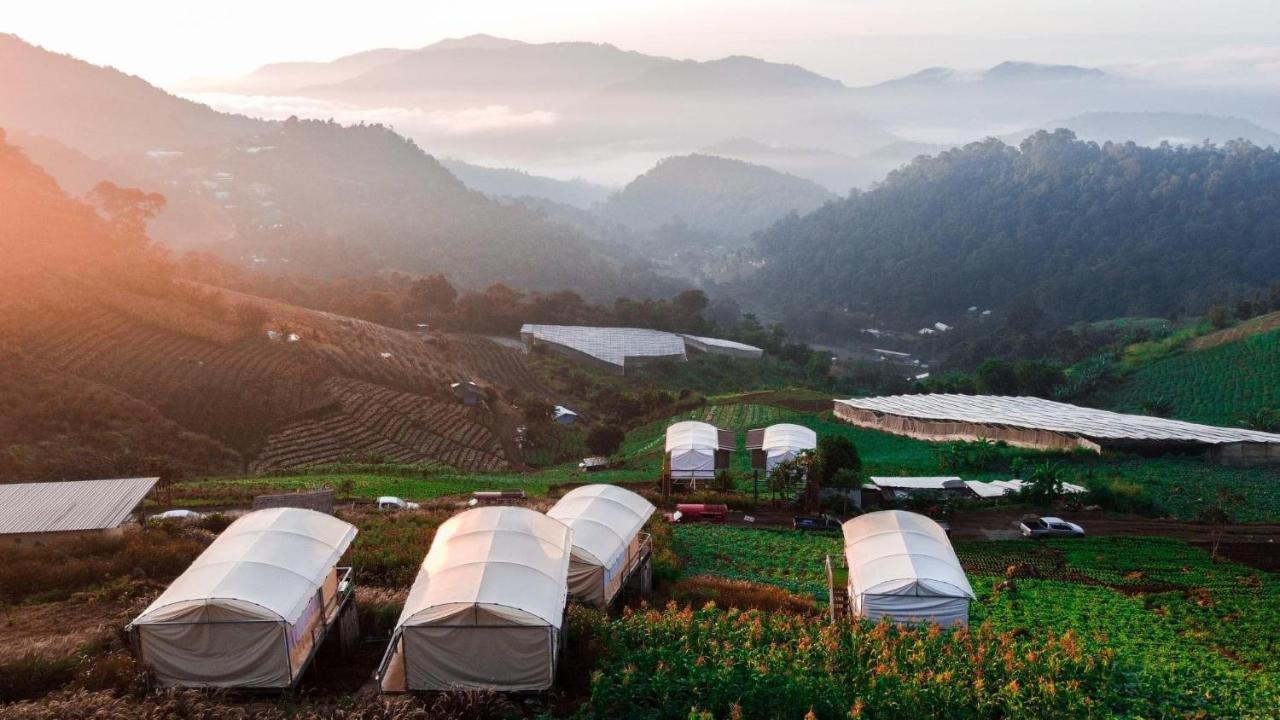 Luxury tent ชูชัยฟาร์มสเตย์ ม่อนแจ่ม