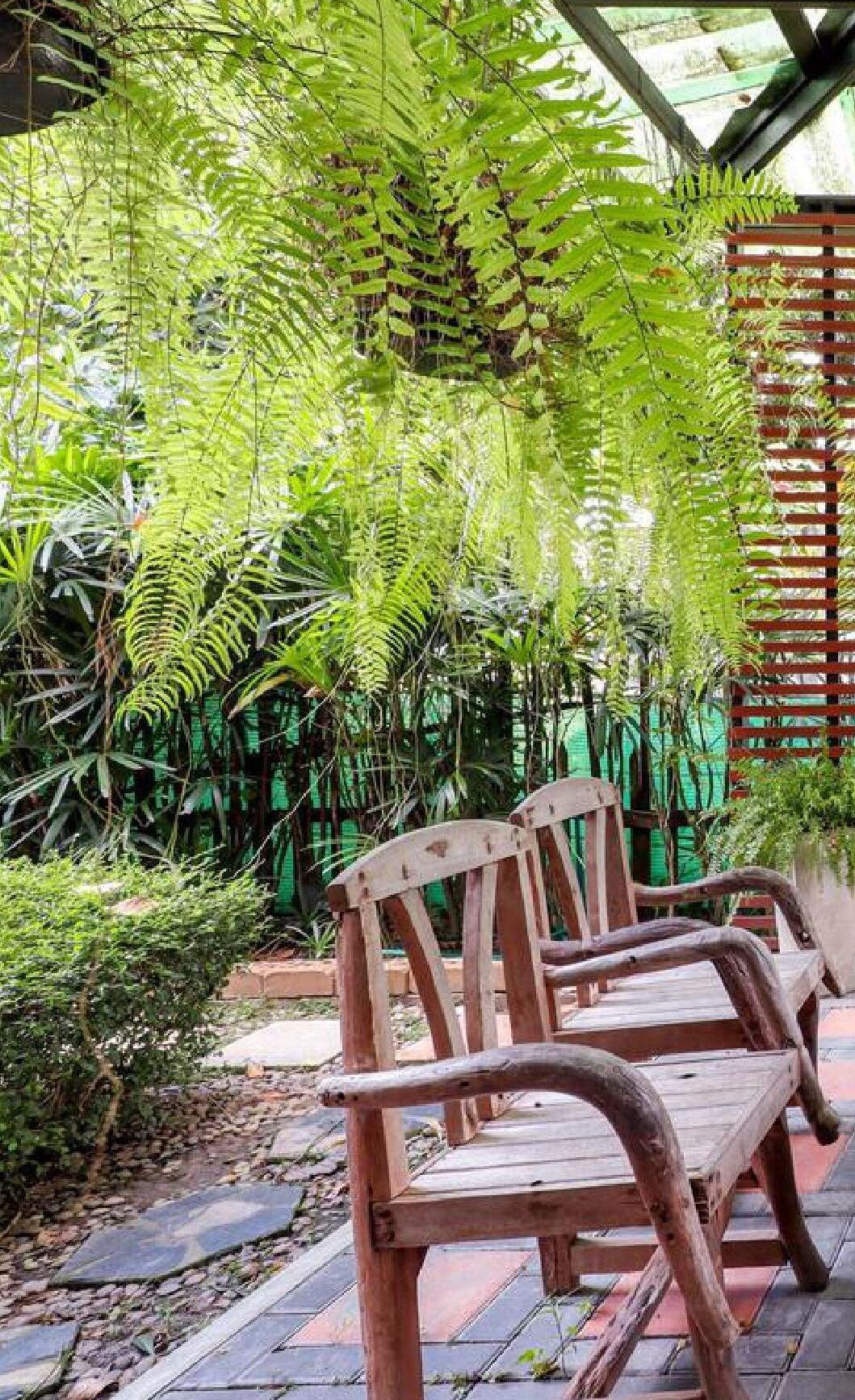 7 Days Chiang Mai