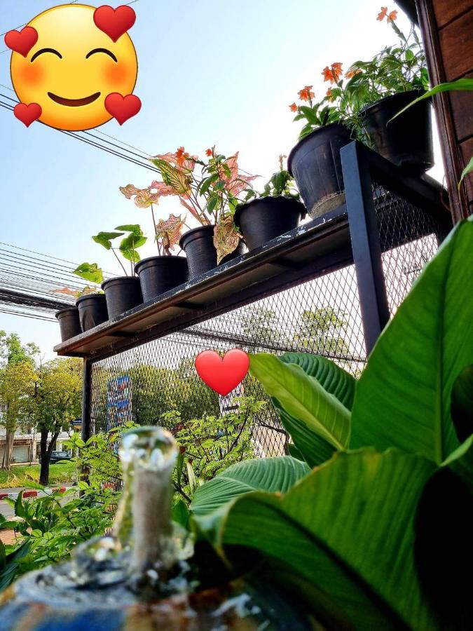 T2b Albergue Chiang Mai