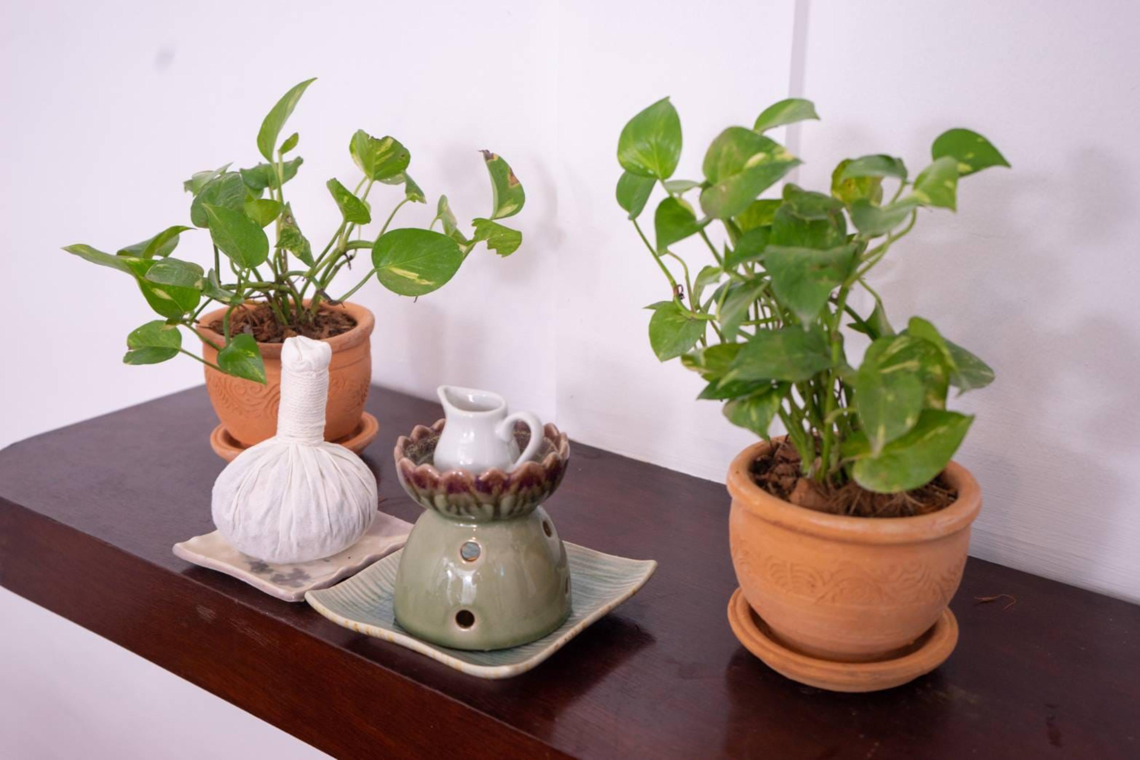 Amaravati Wellness Center Sha Mae Rim