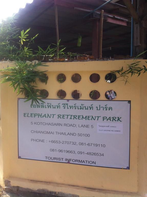 Elephant Retirement Park Chiang Mai