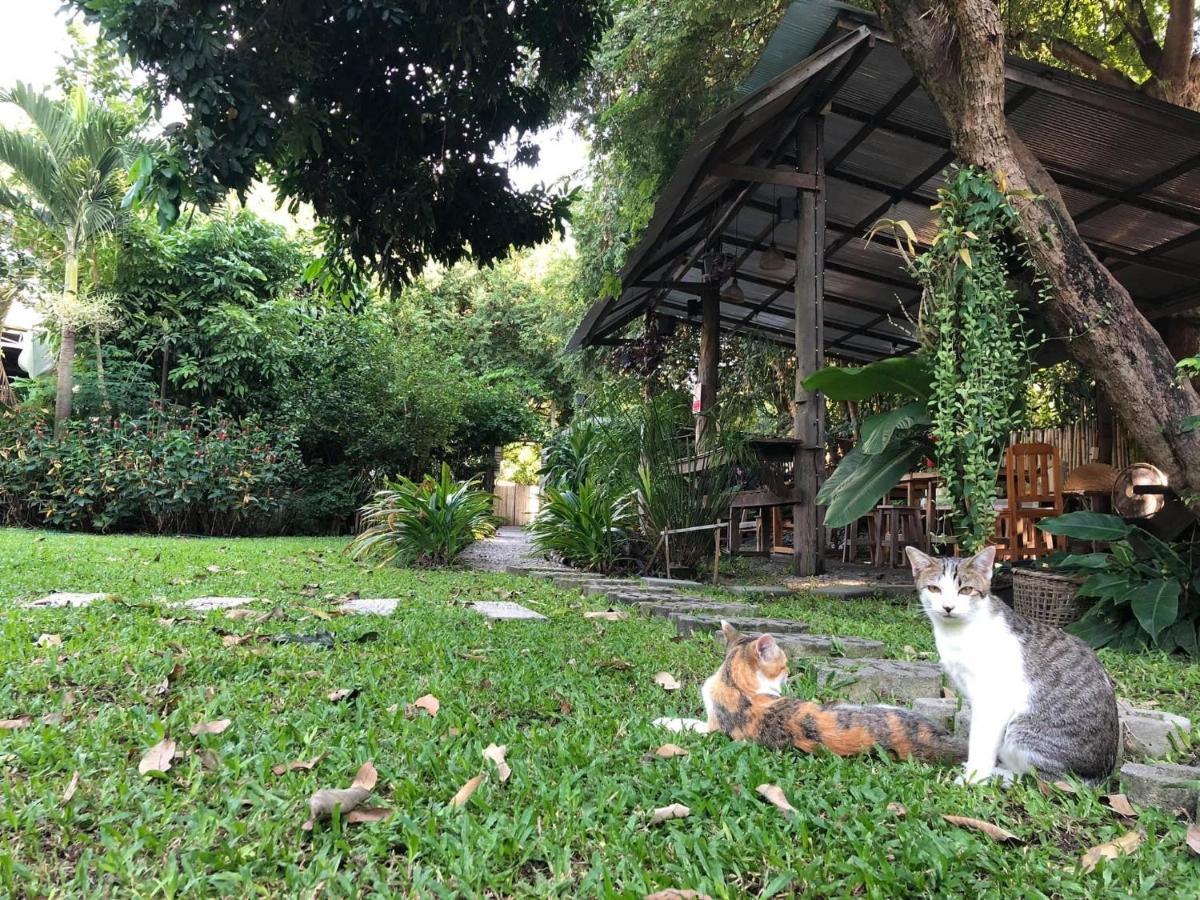 Lanna House Lanna Hut Chiangmai Bed & Breakfast